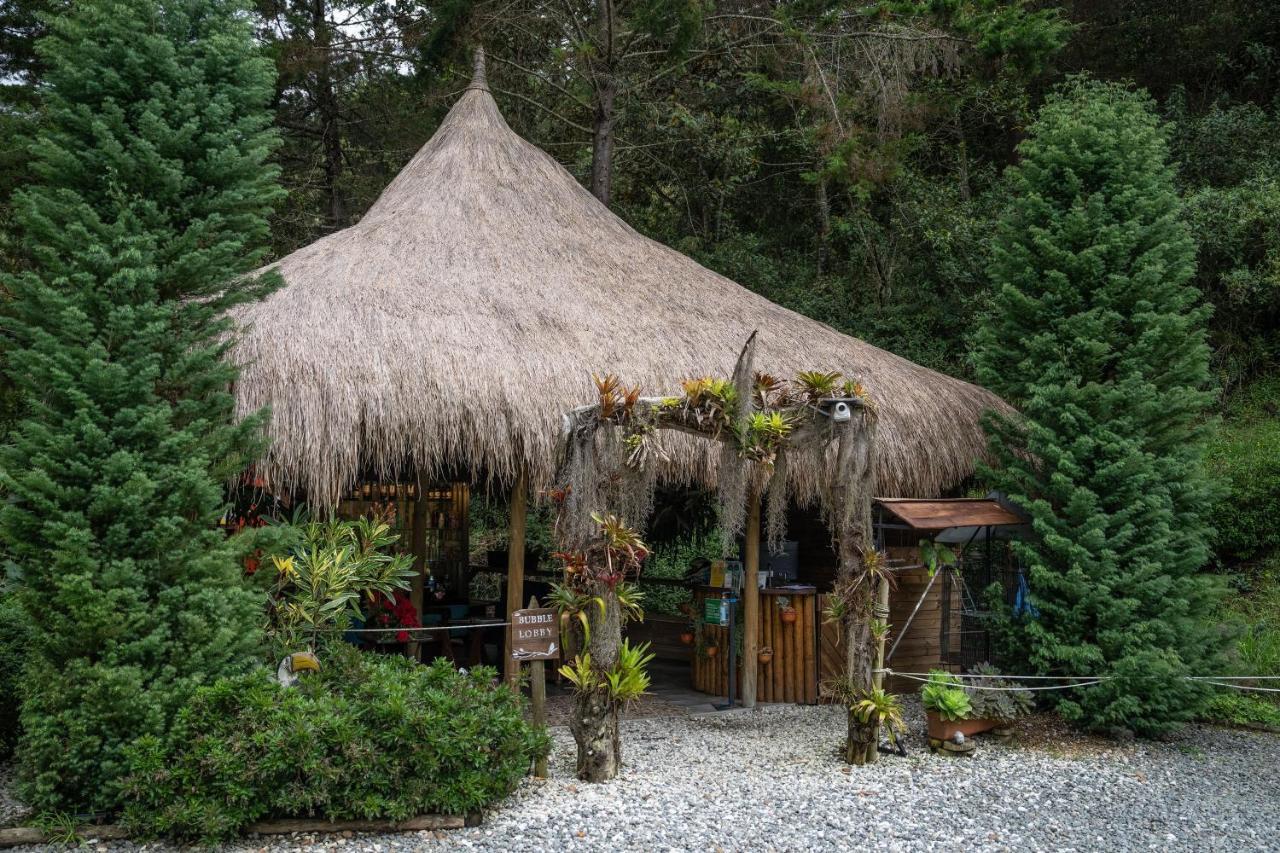 ホテル Bubblesky Glamping 40 Min From Medellin エル・レティーロ エクステリア 写真
