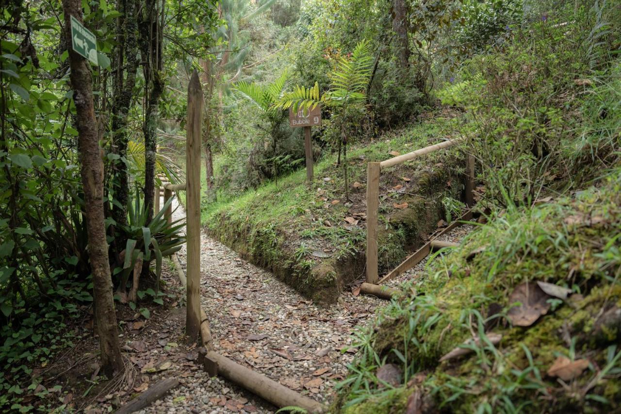 ホテル Bubblesky Glamping 40 Min From Medellin エル・レティーロ エクステリア 写真