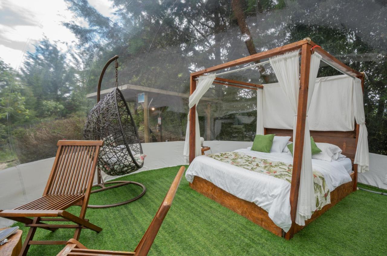 ホテル Bubblesky Glamping 40 Min From Medellin エル・レティーロ エクステリア 写真