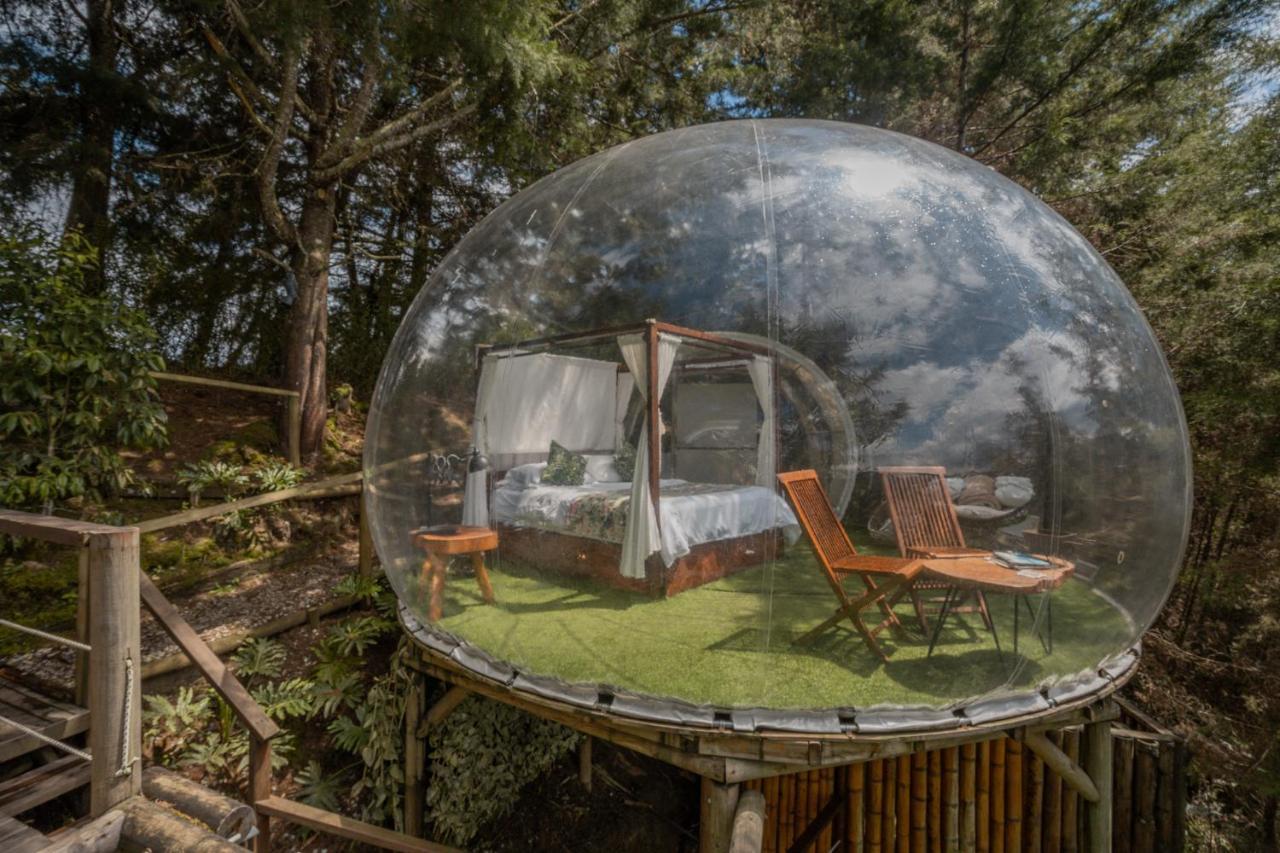 ホテル Bubblesky Glamping 40 Min From Medellin エル・レティーロ エクステリア 写真