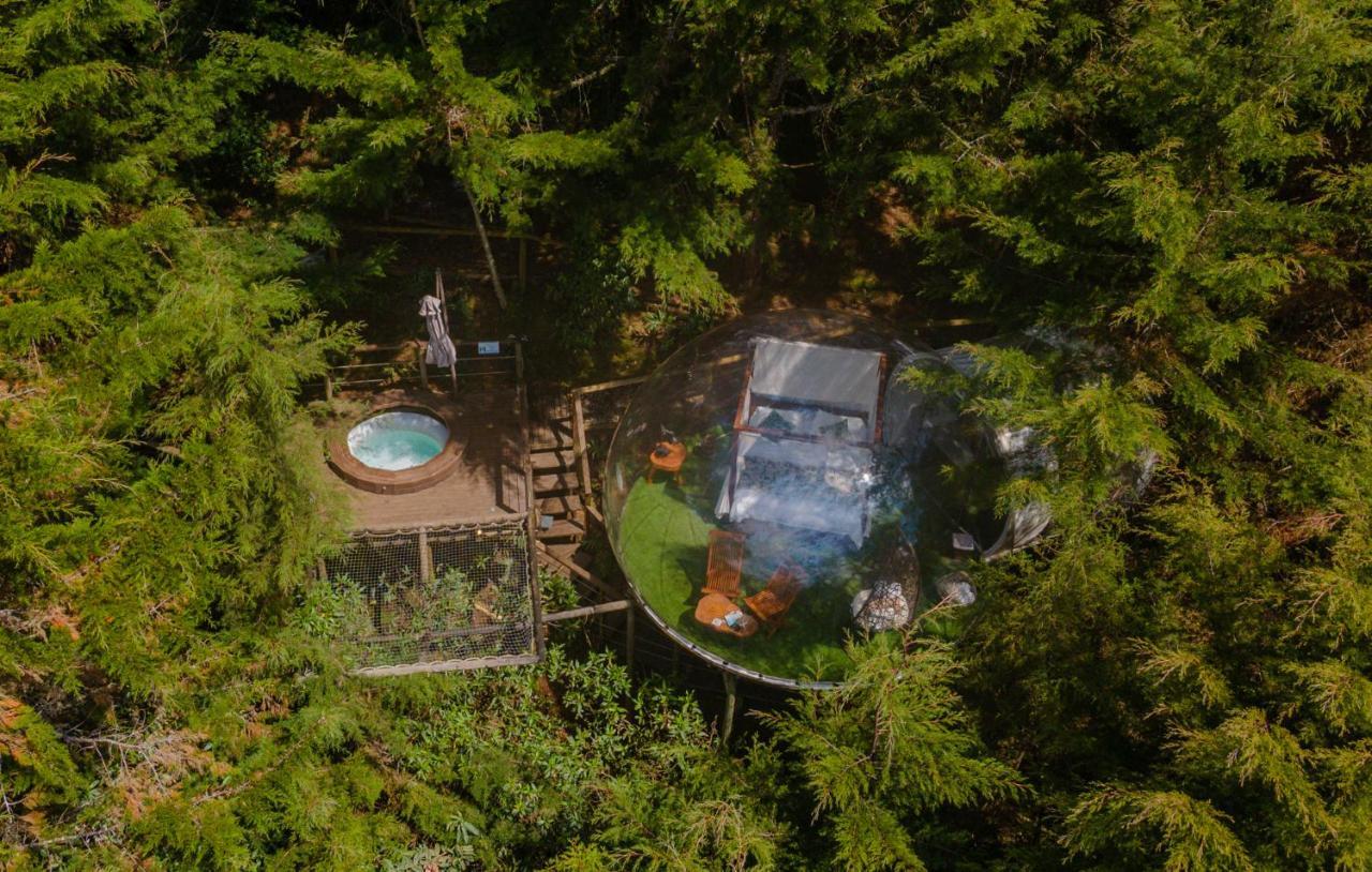 ホテル Bubblesky Glamping 40 Min From Medellin エル・レティーロ エクステリア 写真