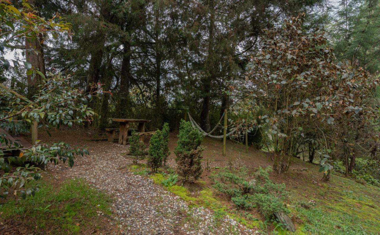ホテル Bubblesky Glamping 40 Min From Medellin エル・レティーロ エクステリア 写真