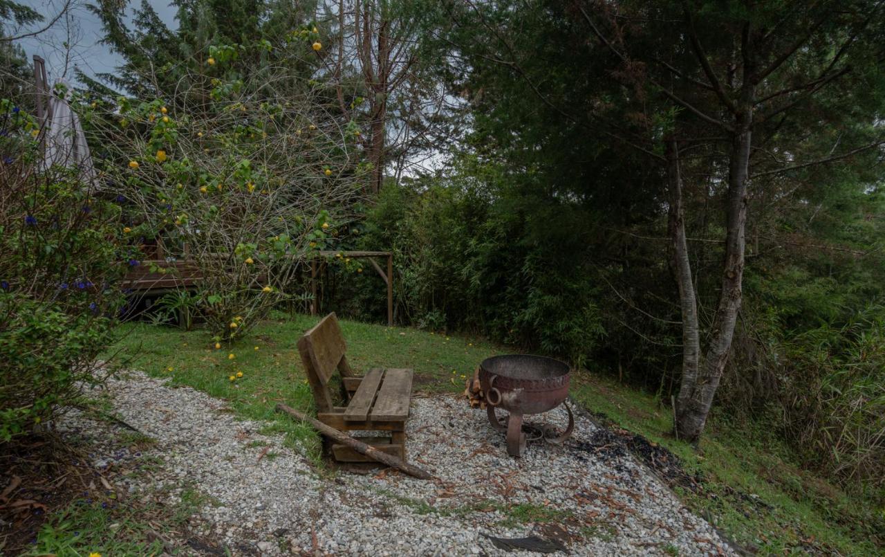 ホテル Bubblesky Glamping 40 Min From Medellin エル・レティーロ エクステリア 写真