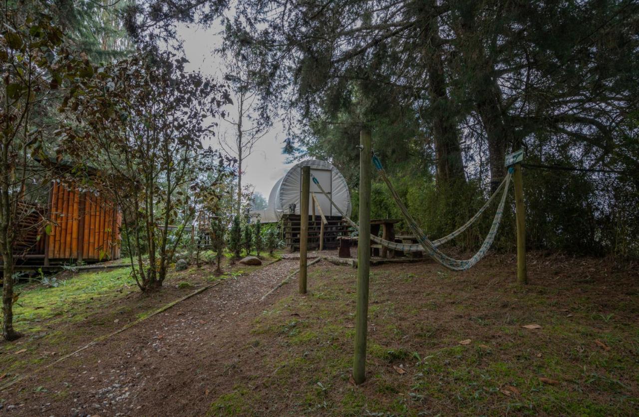 ホテル Bubblesky Glamping 40 Min From Medellin エル・レティーロ エクステリア 写真